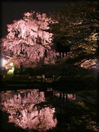 京都の安宿梵定寺-イメージ画像２